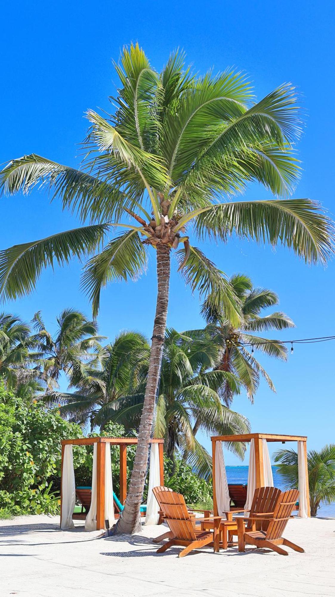 Mangata Villas Adults Only San Pedro  Extérieur photo